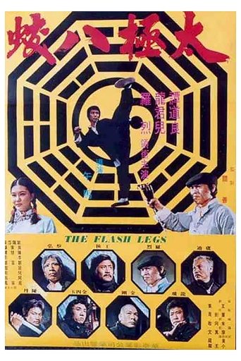 Póster de 太極八蛟
