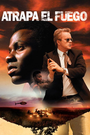 Póster de Catch a Fire