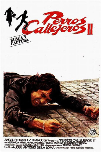 Póster de Perros callejeros II