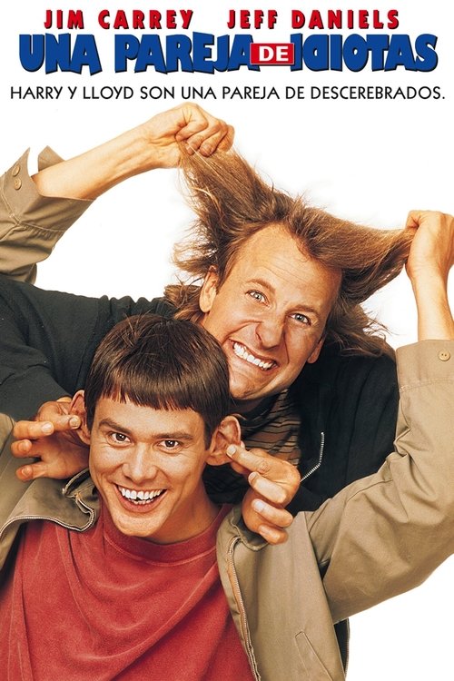 Póster de Una pareja de idiotas