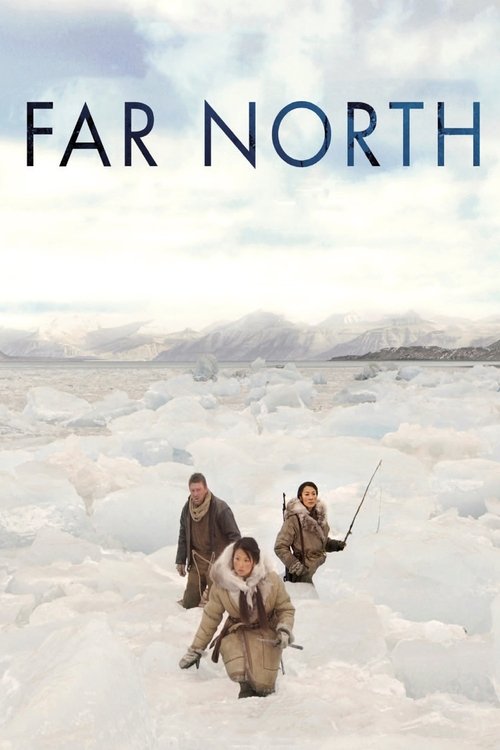 Póster de Far North