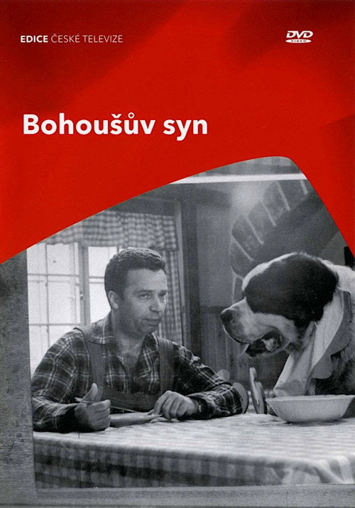 Póster de Bohoušův syn