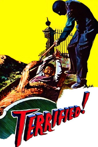 Póster de Terrified