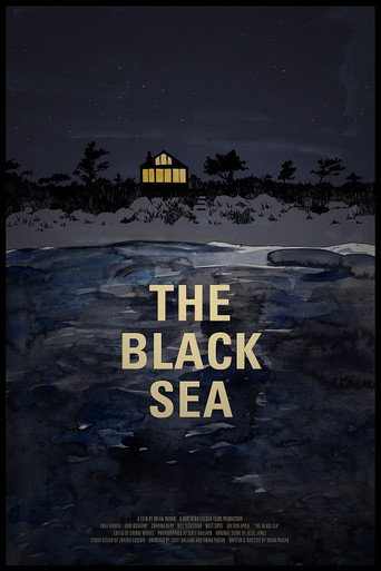 Póster de The Black Sea