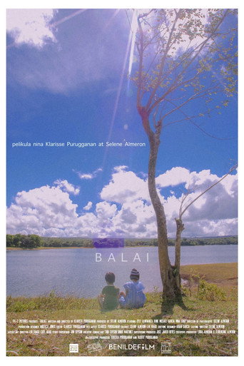 Póster de Balai