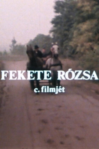 Póster de Fekete rózsa