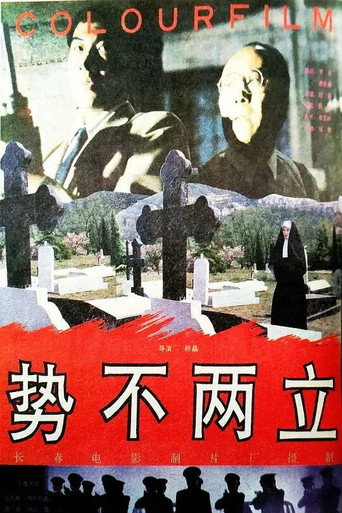 Póster de 势不两立