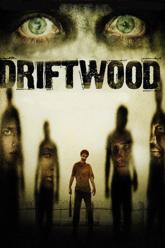 Póster de Driftwood