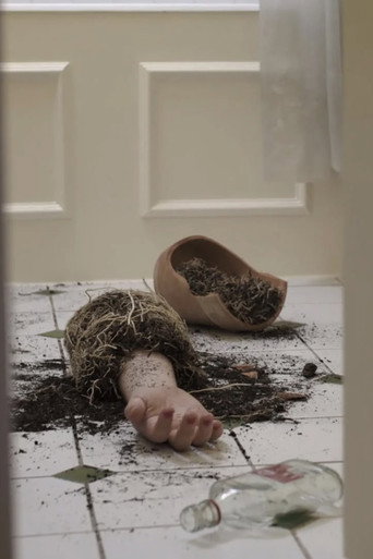 Póster de Seeds of Love