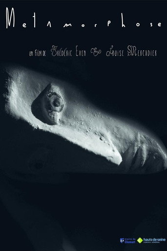 Póster de Métamorphose