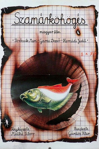 Póster de Szamárköhögés