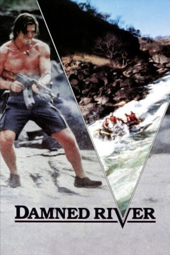 Póster de Damned River