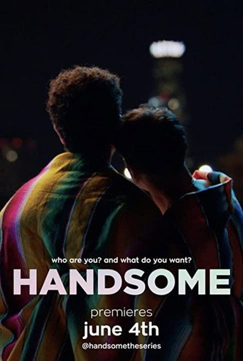 Póster de Handsome