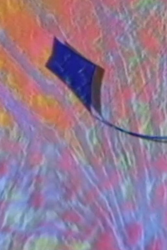 Póster de Kite