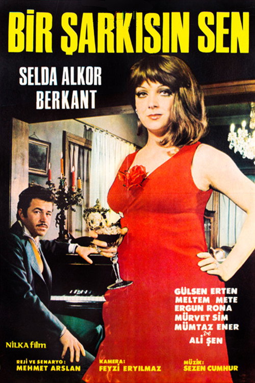 Póster de Bir Şarkısın Sen