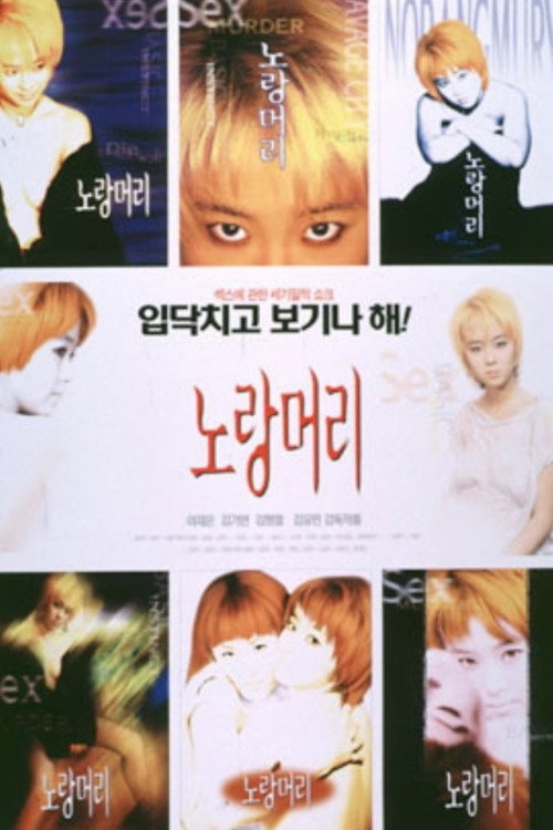 Póster de 노랑머리