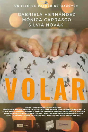 Póster de Volar