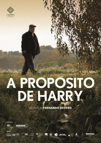 Póster de A Propósito de Harry