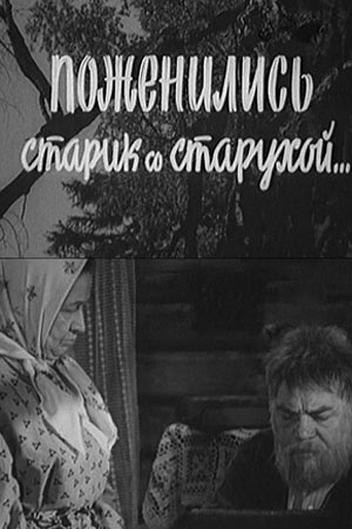 Póster de Поженились старик со старухой...