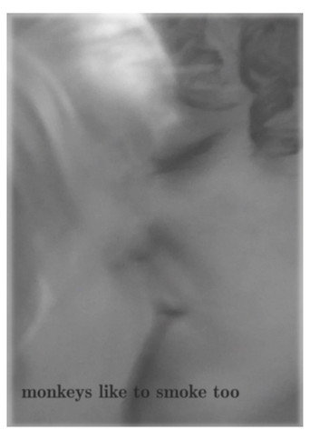 Póster de Monkeys Like to Smoke Too