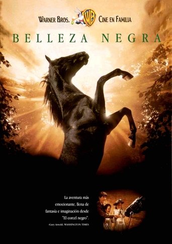 Póster de Belleza Negra