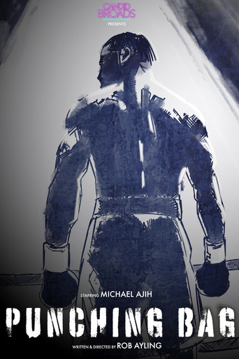 Póster de Punching Bag