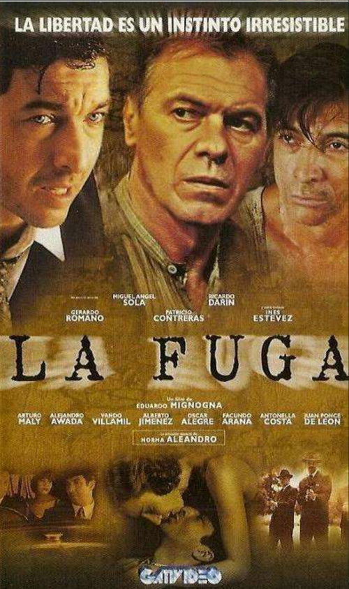 Póster de La fuga