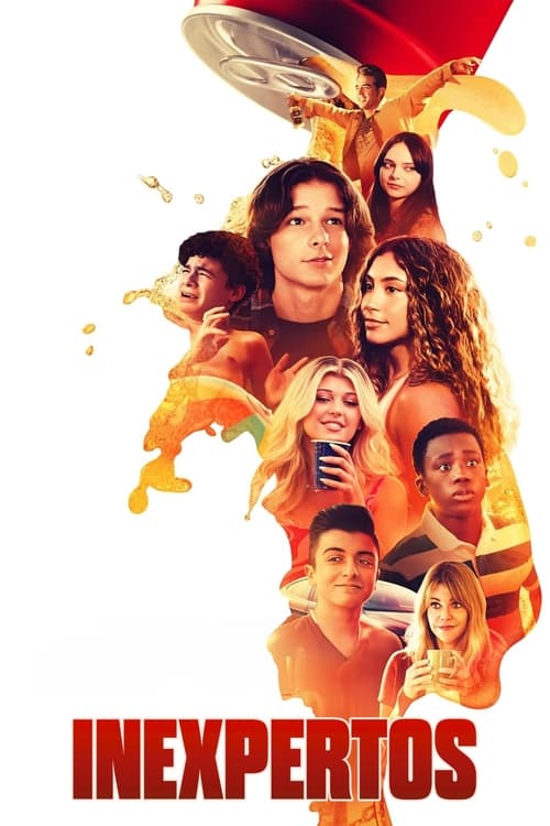 Póster de Inexpertos