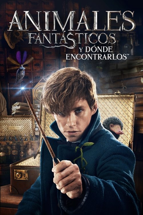 Póster de Animales Fantásticos: Y Dónde Encontrarlos