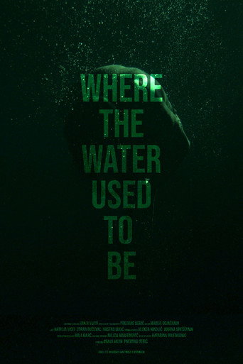 Póster de Where the Water Used to Be