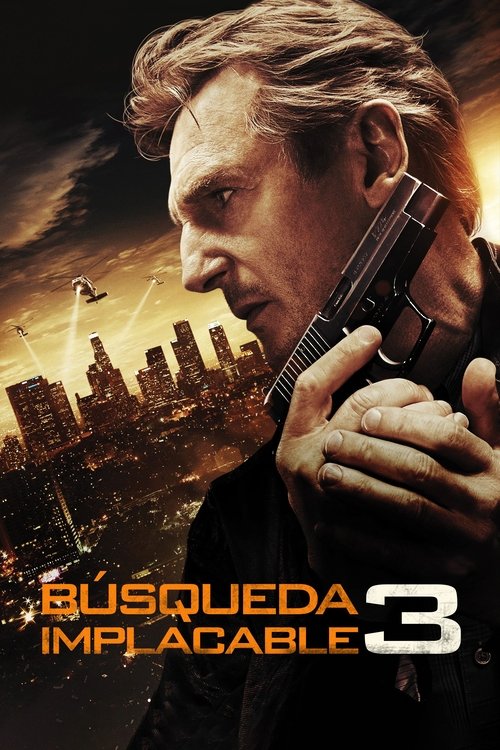 Póster de Búsqueda implacable 3