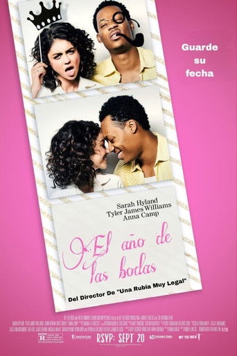 Póster de Un casamiento más