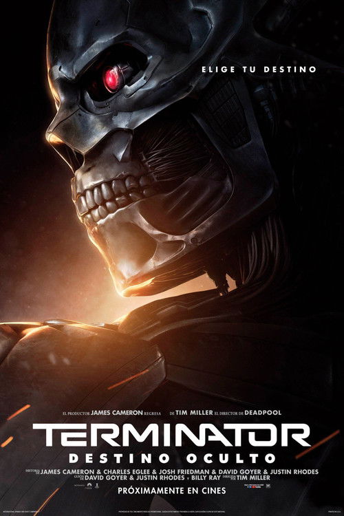 Póster de Terminator: Destino Oculto