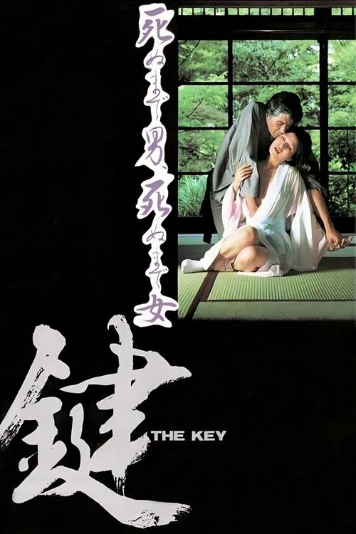 Póster de 鍵