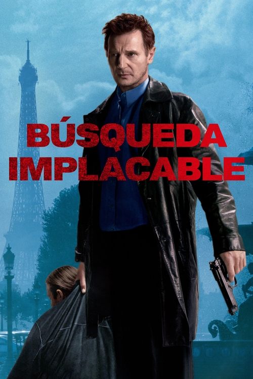 Póster de Búsqueda implacable
