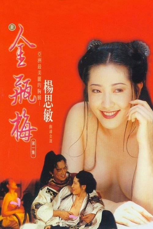 Póster de 新金瓶梅 第一集
