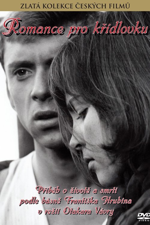 Póster de Romance pro křídlovku
