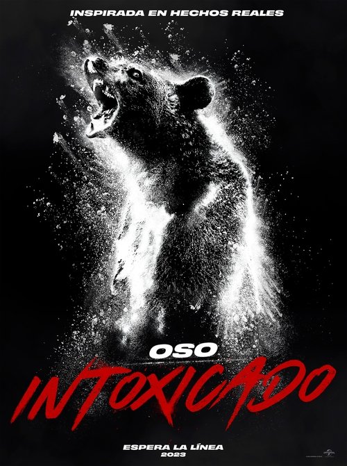 Póster de Oso intoxicado