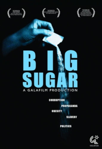 Póster de Big Sugar