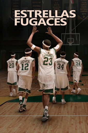 Póster de Estrellas Fugaces