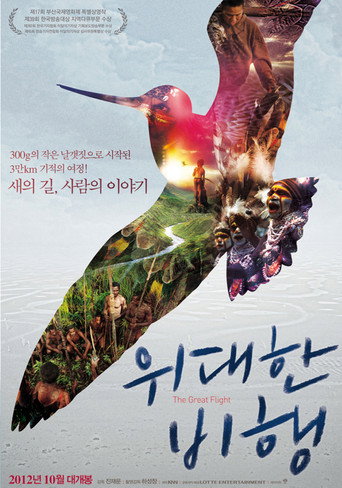 Póster de The Great Flight