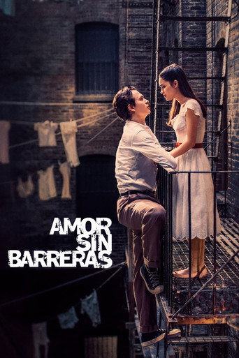 Póster de Amor Sin Barreras