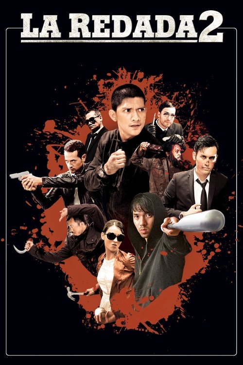 Póster de La Redada 2