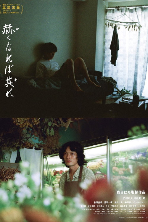 Póster de 赫くなれば其れ