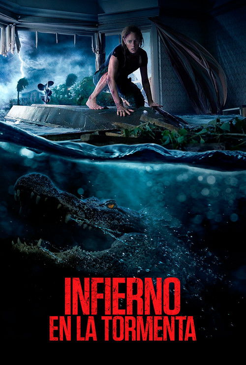 Póster de Infierno en la tormenta