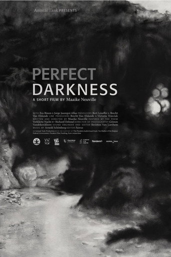 Póster de Perfect Darkness