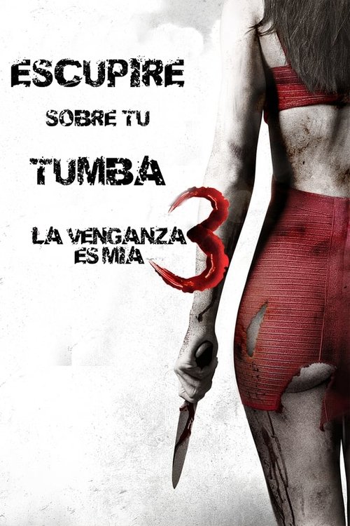 Póster de Dulce venganza 3: La venganza es mía
