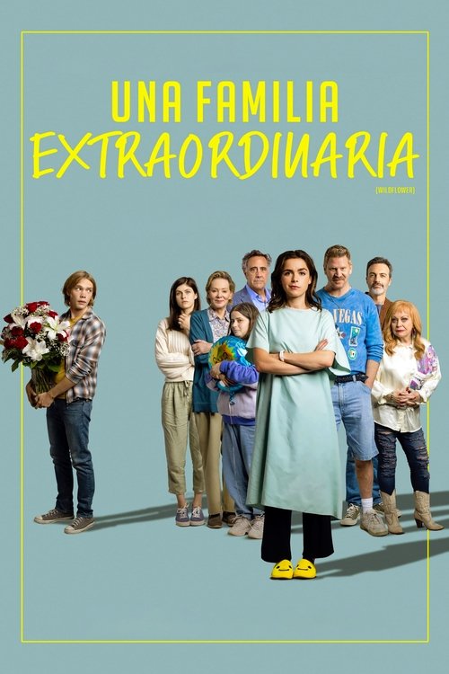 Póster de Una Familia Extraordinaria