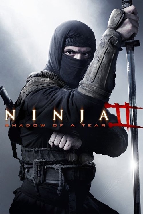 Póster de Ninja 2: La venganza del guerrero