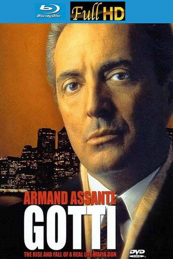 Póster de Gotti